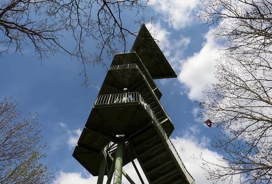 Leipzig's Verdant Charms: The Rosentalturm, Bärlauch Forests, and the Swan's Haven